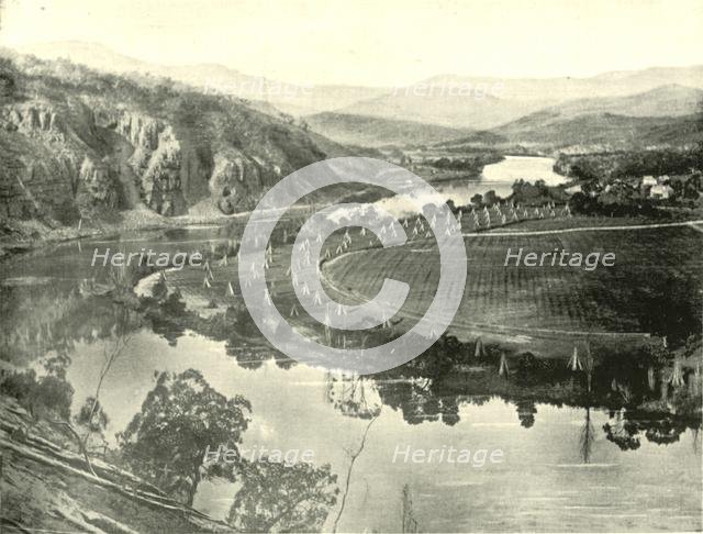 'Hop Gardens in Tasmania', 1901. Creator: Unknown.