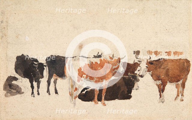 Study of Cattle, c1800-1830. Creator: David Cox the Elder.