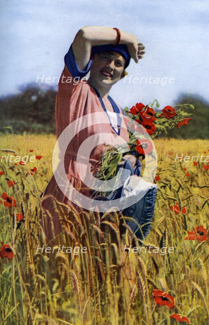 'The 'English Rose, c1922. Artist: Horace Walter Nicholls