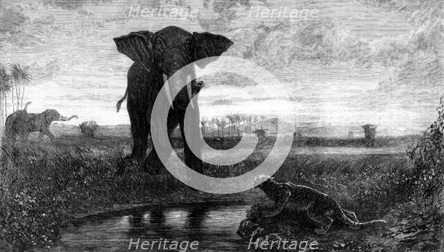 "The Indian Desert", by Decamps, 1871. Creator: J Greenaway.