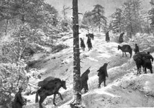 'La campagne d'hiver en Orient; Sur le Paljokrimero, entre Burbusko et Zupan', 1917. Creator: Unknown.