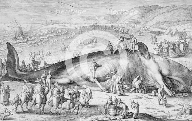 Beached Whale, 1598. Creator: Jacob Matham.