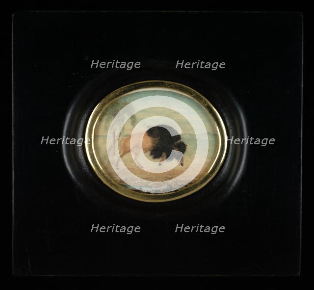 Bisonte con palmeras (Bison with Palm Trees), ca. 1825-1850. Creator: Goyena family.