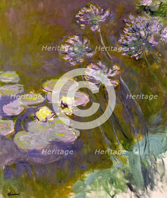Water Lilies and Agapanthus, 1914-1917.