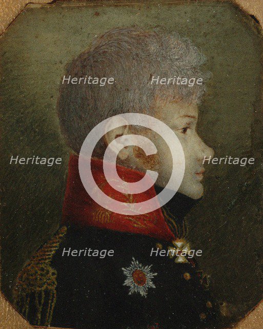 Count Mikhail Petrovich Dolgorukov (1780-1805), 1808-1809.