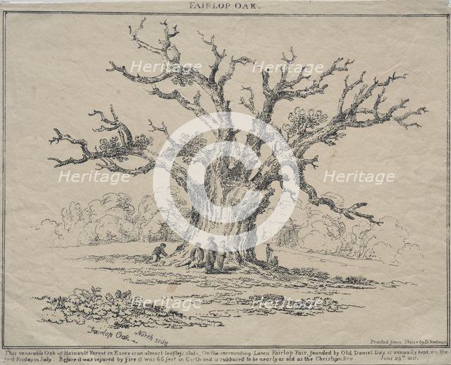 Fairlop Oak, 1811. Creator: D. H. Redman (British).