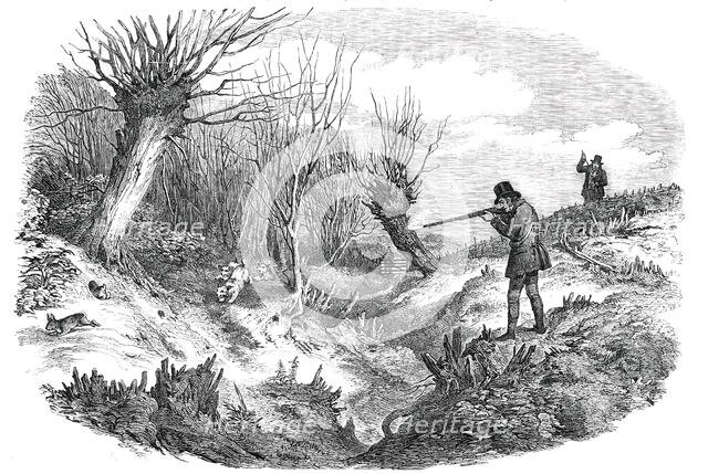 Rabbit-Shooting near Tunbridge - drawn by Duncan, 1850. Creator: Unknown.