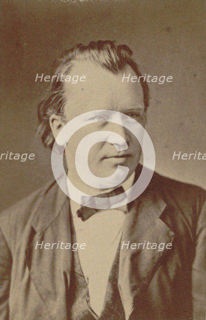 Portrait of the composer Johannes Brahms (1833-1897), 1875.