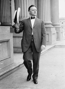 William Henry Hinebaugh, Rep. from Illinois, 1913.  Creator: Harris & Ewing.