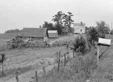 General view of a hillside farm which faces the road..., Person County, North Carolina, 1939. Creator: Dorothea Lange.
