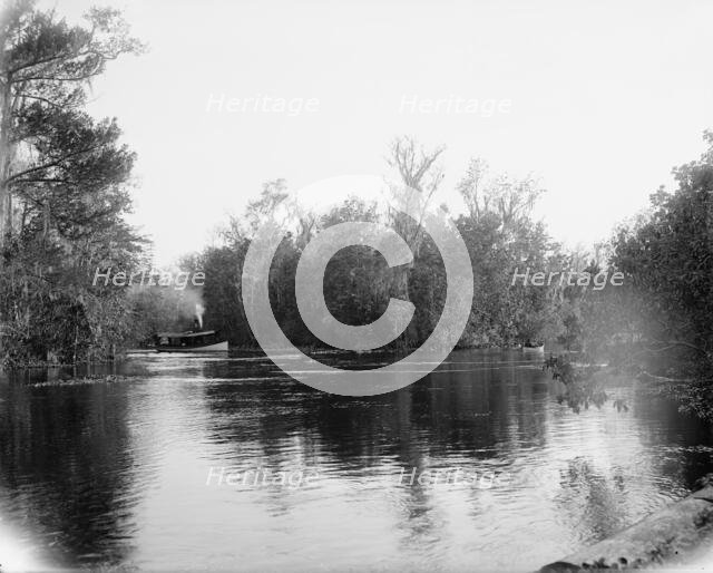 Junction of the Ocklawaha [sic] and Silver Springs rivers, Florida, 1902. Creator: Unknown.