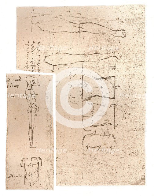 Two drawings illustrating the theory of the proportions of the human figure, c1472-c1519 (1883). Artist: Leonardo da Vinci.