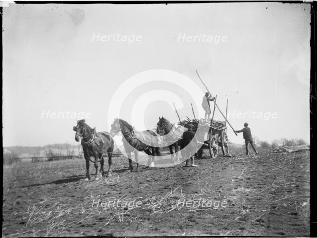 Broomfield, Broomfield and Kingswood, Maidstone, Kent, 1904. Creator: Katherine Jean Macfee.