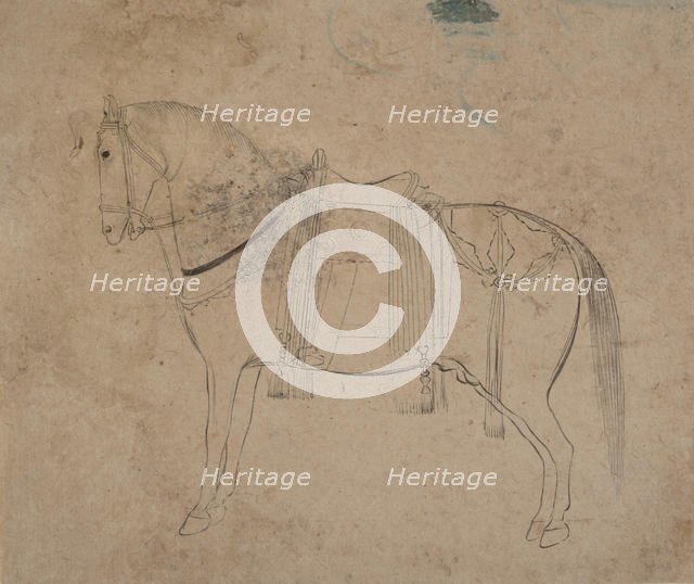 Sketch of a Horse, late 18th century. Creator: Unknown.