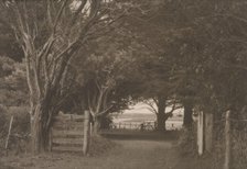 On a farm Hawera, Taranaki, N. Z., 1920s. Creator: Eunice Harriett Garlick.