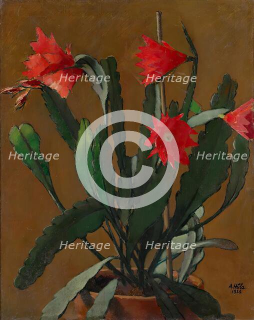 Still life with blooming cactus, 1929. Creator: Anton Hula.