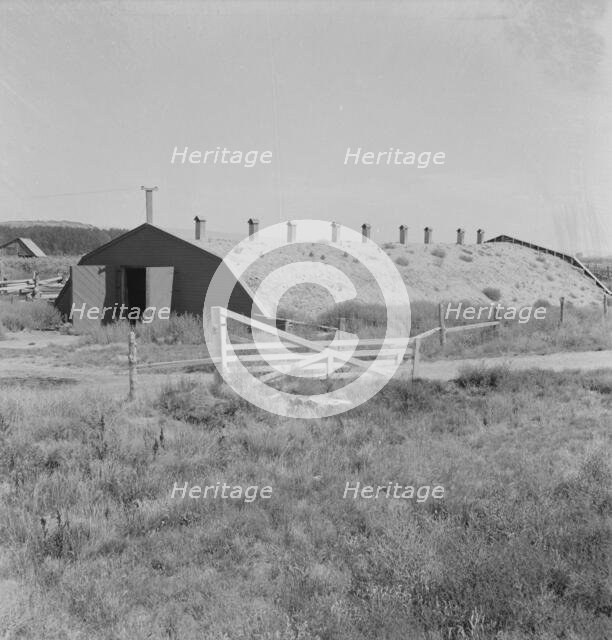 Potato storage cellar in Klamath Basin, where potatoes are raised, Klamath County, Oregon, 1939. Creator: Dorothea Lange.