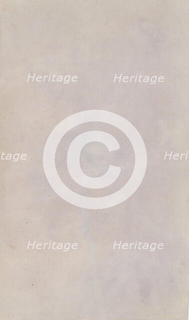 Tussilago Farfara, 1839. Creator: William Henry Fox Talbot.