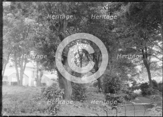 Garden, c1935. Creator: Kirk & Sons of Cowes.