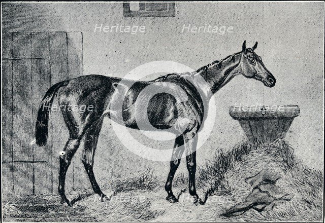 'Queen Bertha', 19th century, (1911). Artist: Unknown.