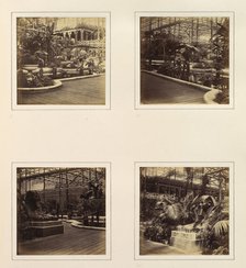 [View in Tropical Department; View of Egyptian Sphinxes], ca. 1859. Creator: Attributed to Philip Henry Delamotte.
