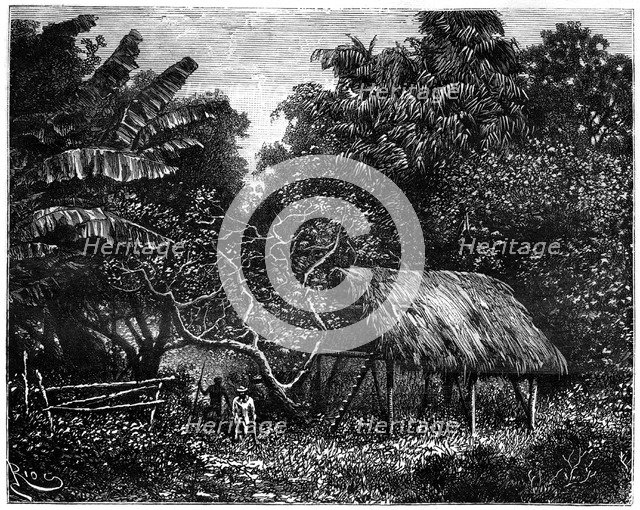 Guyana, South America, 19th century. Artist: Edouard Riou