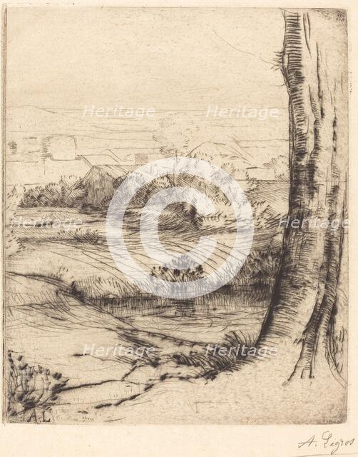 View of Reeds (Coin de roseau). Creator: Alphonse Legros.