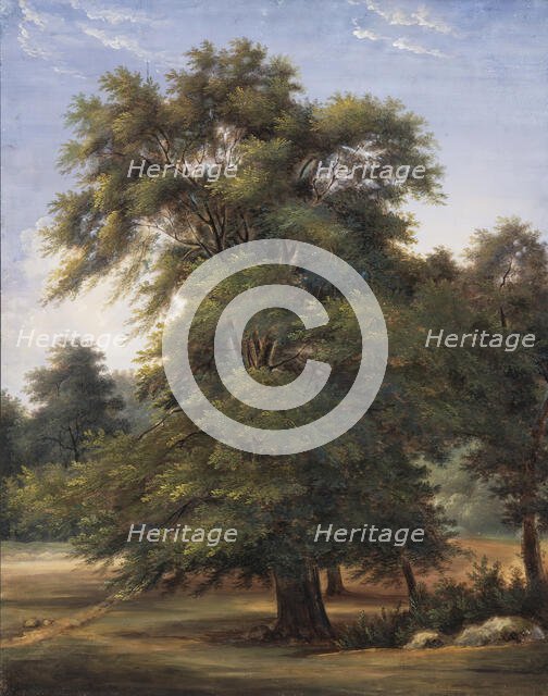 Study of a Tree, between circa 1800 and circa 1805. Creator: Jean-Victor Bertin.