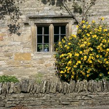 Stone mullioned cottage window, Lower Slaughter, Cotswolds, Gloucestershire, c2000s(?). Artist: Historic England Staff Photographer.