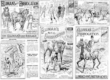 Advertisement for Elliman's Royal and Universal Embrocations, 1895. Creator: Unknown.