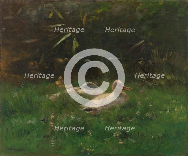 Eenden, c.1880-c.1904. Creator: Willem Maris.