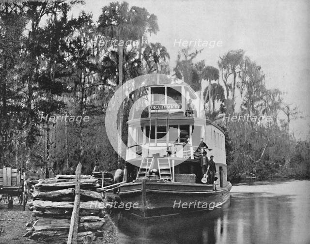 'On the Ocklawaha River, Florida', c1897. Creator: Unknown.