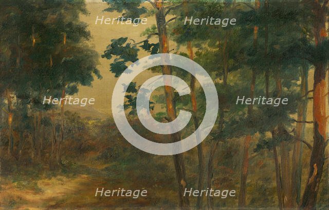 Forest view, 1902-1908. Creator: Elemír Halász-Hradil.