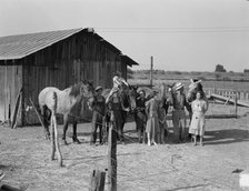 Chris Adolf, his team, and six of his..., near Wapato, Yakima Valley, Washington, 1939. Creator: Dorothea Lange.