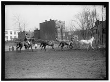 Society Circus, between 1910 and 1917. Creator: Harris & Ewing.