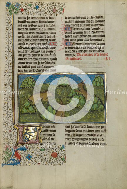 Hares; Livre de la Chasse, about 1430-1440. Creator: Unknown.