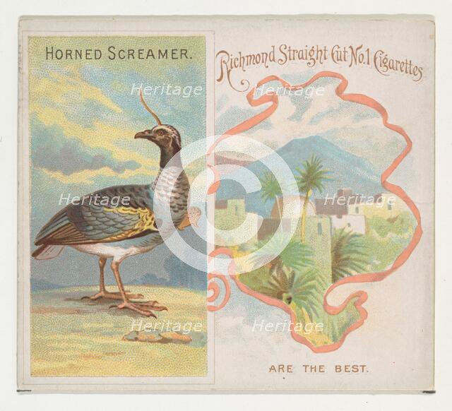 Horned Screamer, from Birds of the Tropics series (N38) for Allen & Ginter Cigarettes, 1889. Creator: Allen & Ginter.