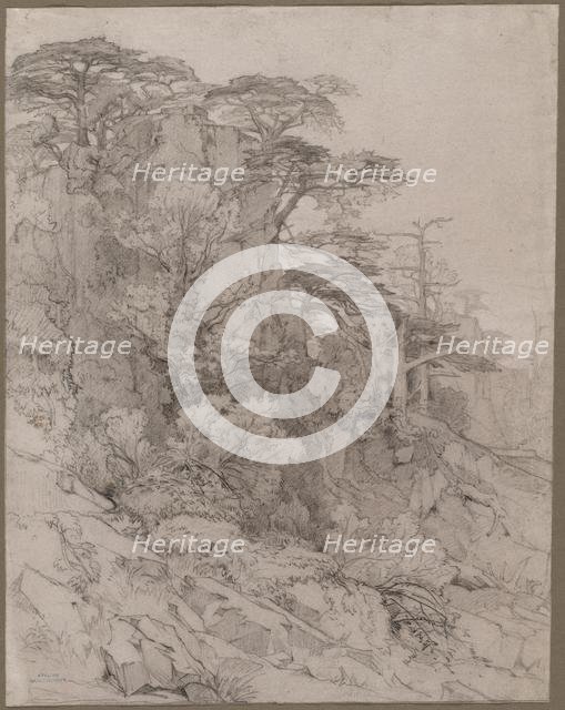 Trees of a Rocky Hillside, late 1800s. Creator: Gustave Achille Guillaumet (French, 1840-1887).