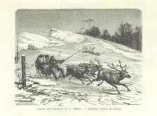 Siberian Plateau Landscape - Reindeer Sleigh, 1889.  Creator: Dumont.