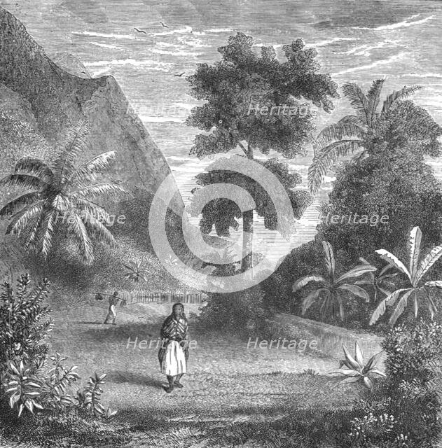 'Vegetation of Tahiti; Speculations concerning Former Southern Geographies', 1875. Creator: Unknown.