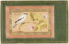 Black and White Bird Perched on a Shrub, 1651-1652. Creator: Shafi' Abbasi (Iranian).