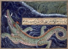 Crocodile, 1590.  Creator: Sarwan.
