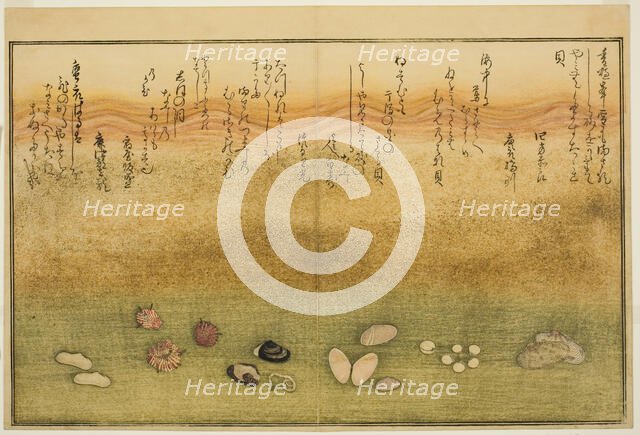 Sudare-gai, hana-gai, sakura-gai, mumeno-gai, nadeshiko-gai, and kinuta-gai, from the illu..., 1789. Creator: Kitagawa Utamaro.