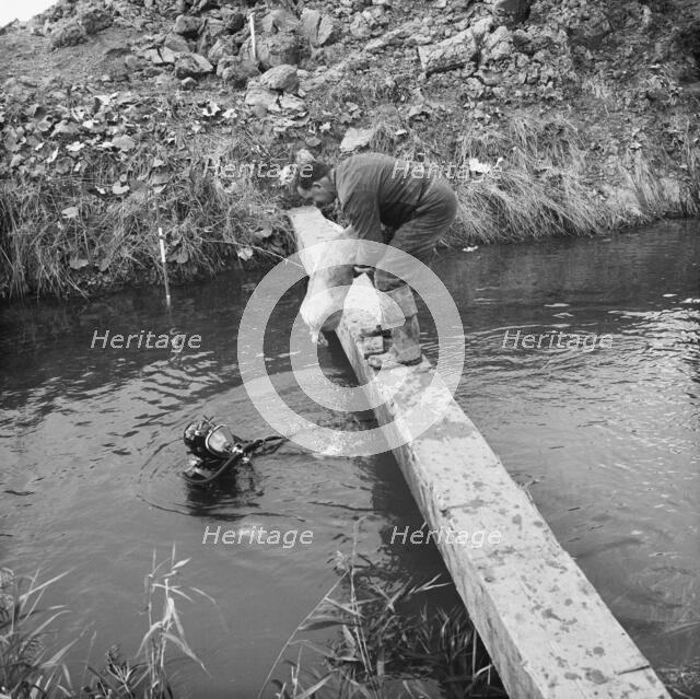 River Nar where the Fens gas pipeline crosses the river, Norfolk, 20/09/1967. Creator: John Laing plc.