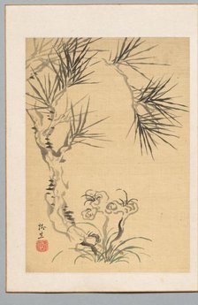 Pine Tree and Fungus, 19th century. Creator: Tsubaki Chinzan (Japanese, 1801-1854).