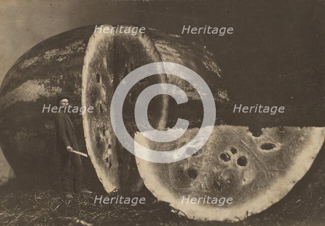Man Cutting Watermelon, 1898-1903. Creator: Johnson.