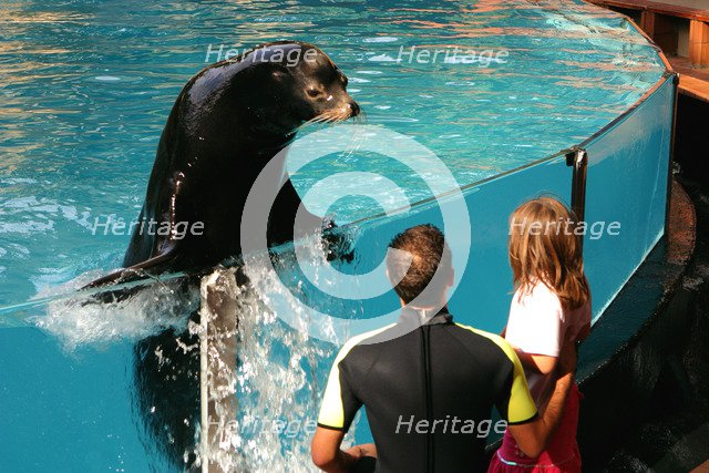 Sea lion show, Loro Parque, Tenerife, Canary Islands, 2007.