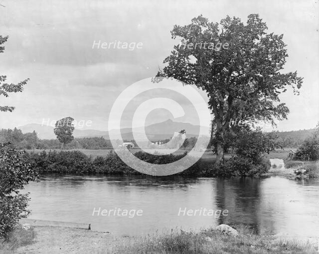 Bear Camp River and Chocorua Mountain, White Mountains, between 1900 and 1906. Creator: Unknown.