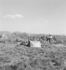 Camp of single men, Tulelake, Siskiyou County, California, 1939. Creator: Dorothea Lange.