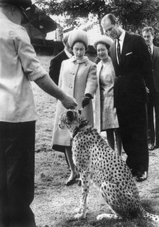 Queen Elizabeth II, Prince Philip and Princess Margaret visit London Zoo, 1967. Artist: Unknown